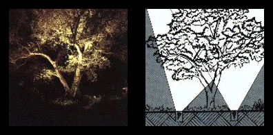 A tree lit from several sides at night, beside a drawing of two light cones rising from the ground.