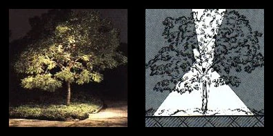 A tree lit from above at night, beside a drawing of the light cone falling down through the branches.