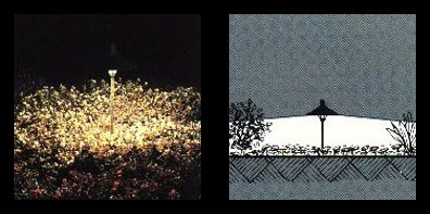 A low hooded fixture lighting a garden bed, beside a drawing of the light spreading wide and flat.