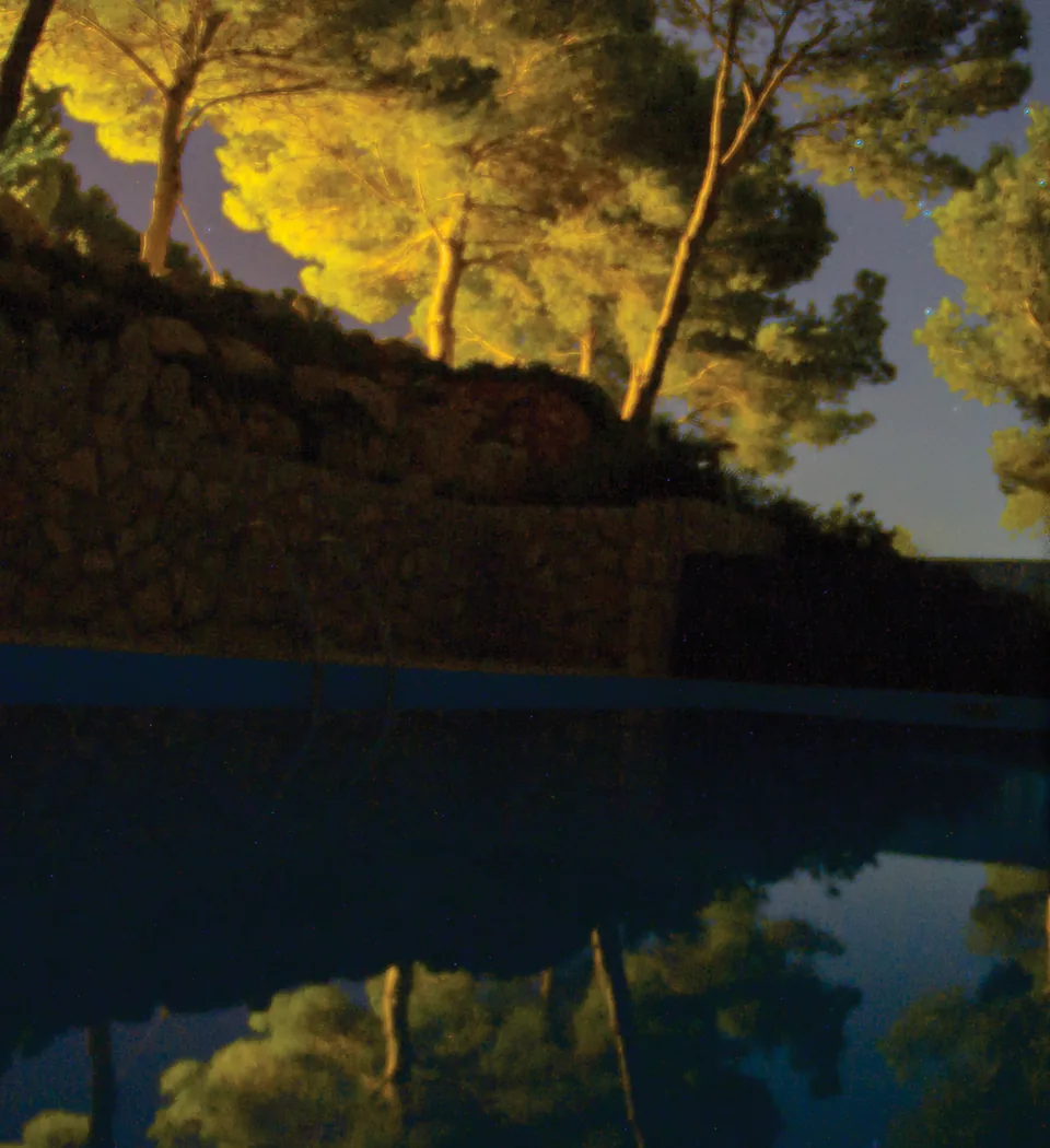 Tall pines lit from below on a hillside above a still pool at night.